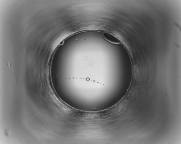 X0000100231187200805301406