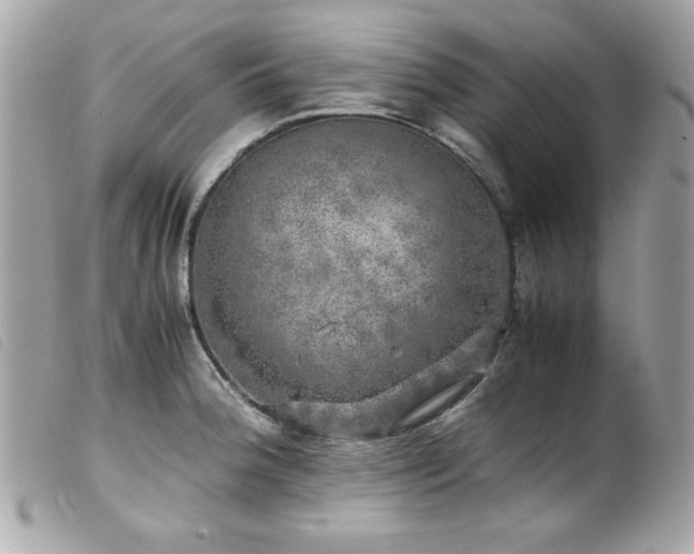 X0000100231188200805301406