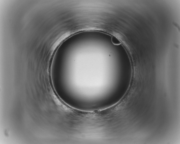 X0000100231189200805301406