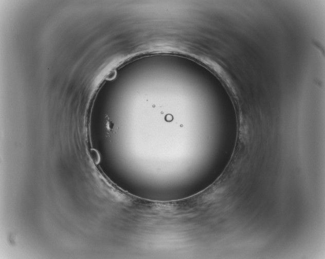 X0000100231191200805301406