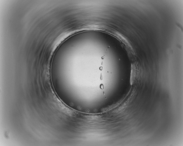 X0000100231192200805301406
