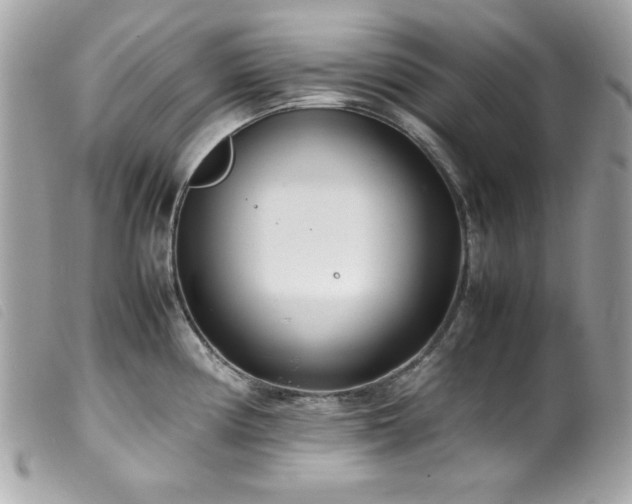 X0000100231194200805301406