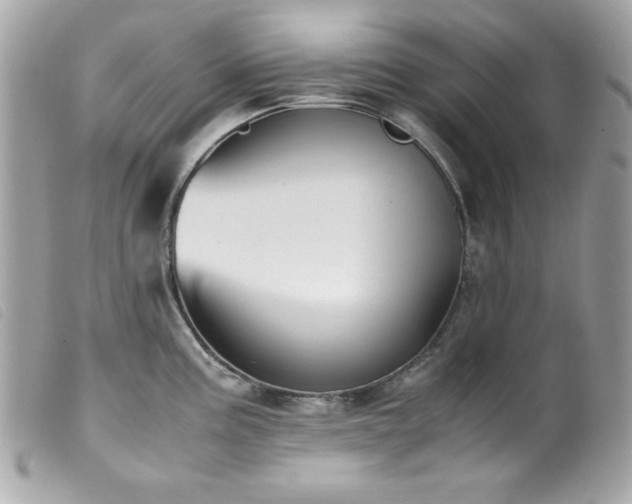 X0000100231195200805301406