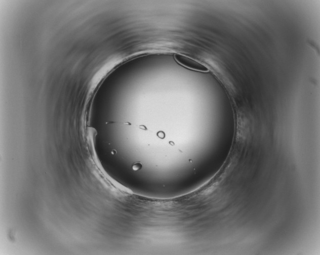 X0000100231196200805301406