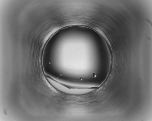 X0000100231197200805301406