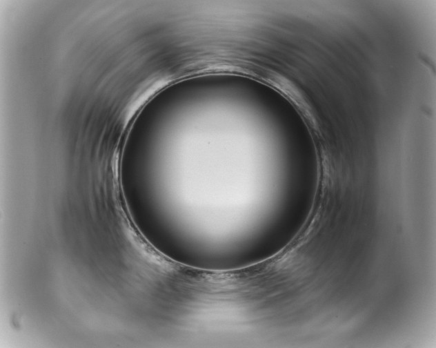 X0000100231198200805301406