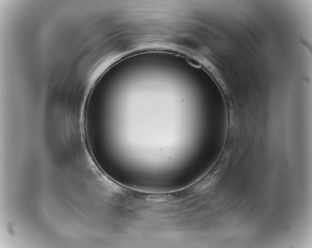 X0000100231199200805301406