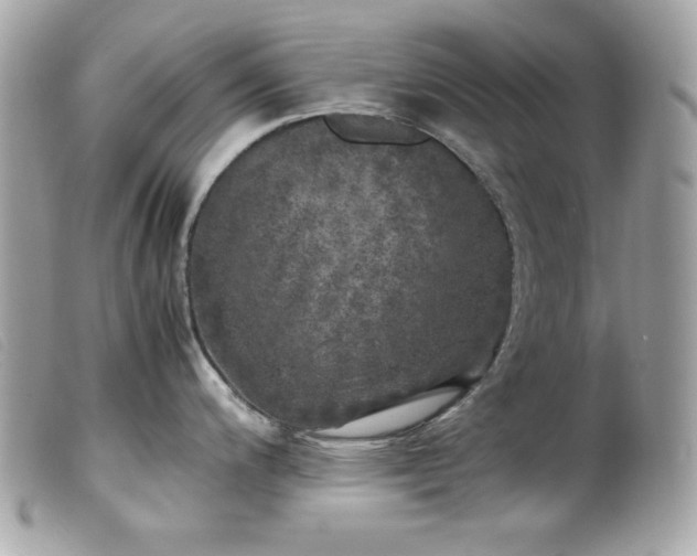 X0000100231200200805301406