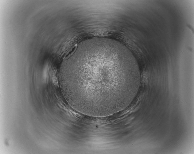X0000100231202200805301405
