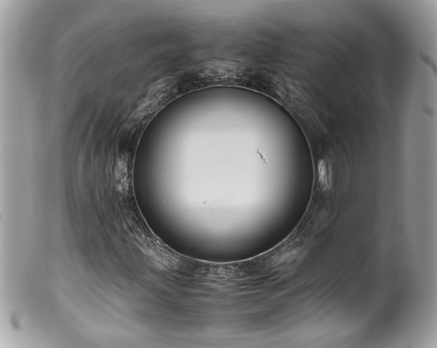 X0000100231203200805301405