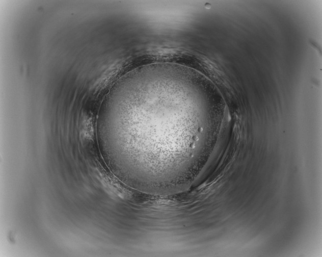 X0000100231204200805301405