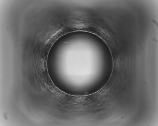 X0000100231205200805301405