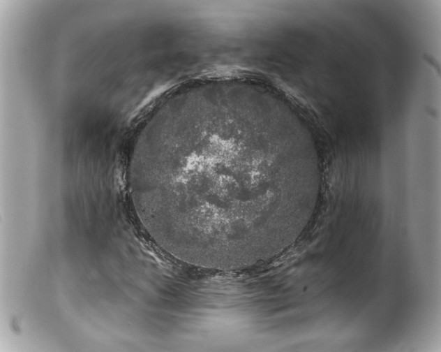 X0000100231206200805301405
