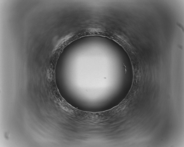 X0000100231207200805301405