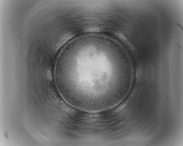 X0000100231209200805301405