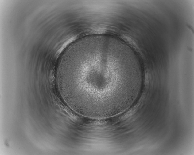 X0000100231210200805301405