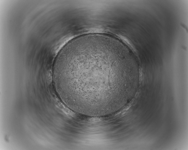 X0000100231212200805301405