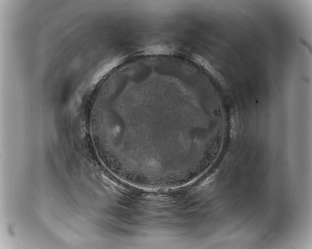 X0000100231213200805301405