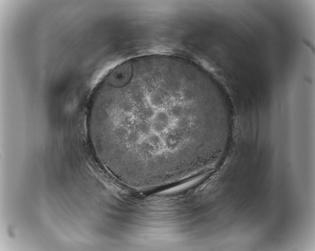 X0000100231214200805301405