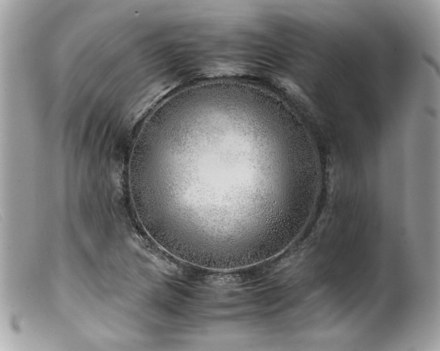 X0000100231217200805301405