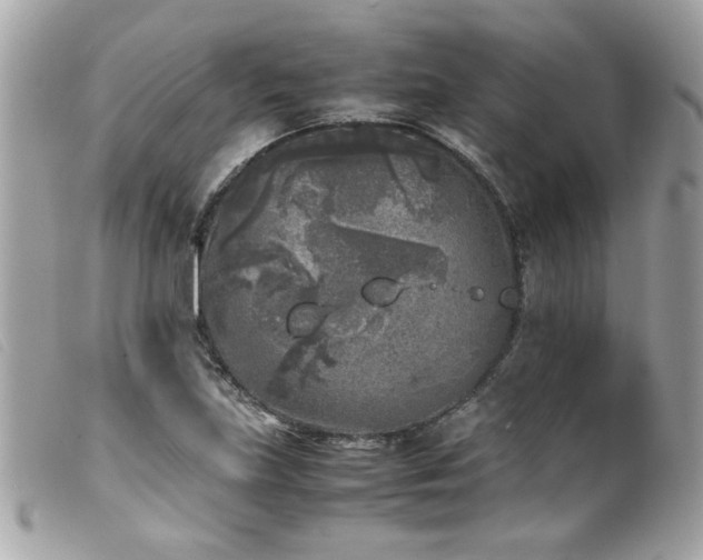 X0000100231219200805301405