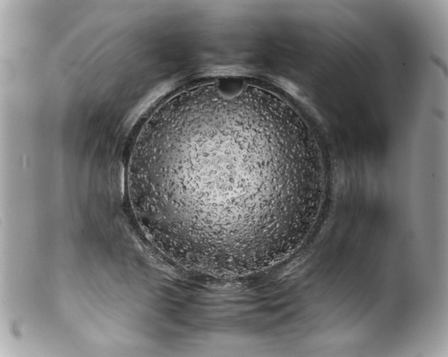 X0000100231221200805301405