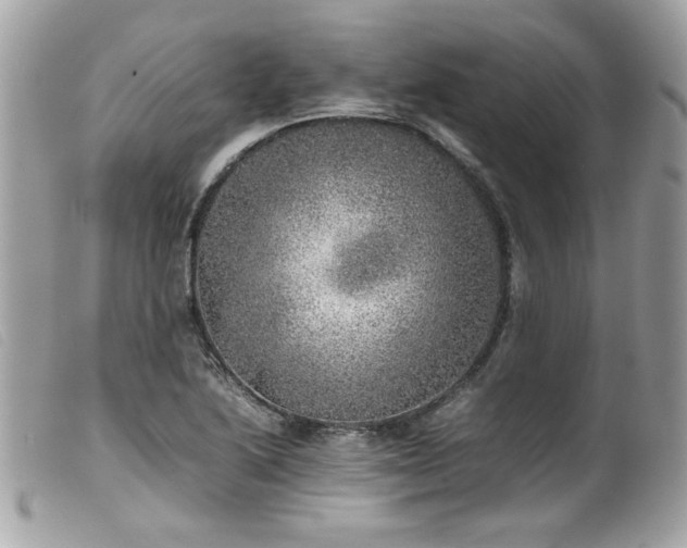 X0000100231222200805301405