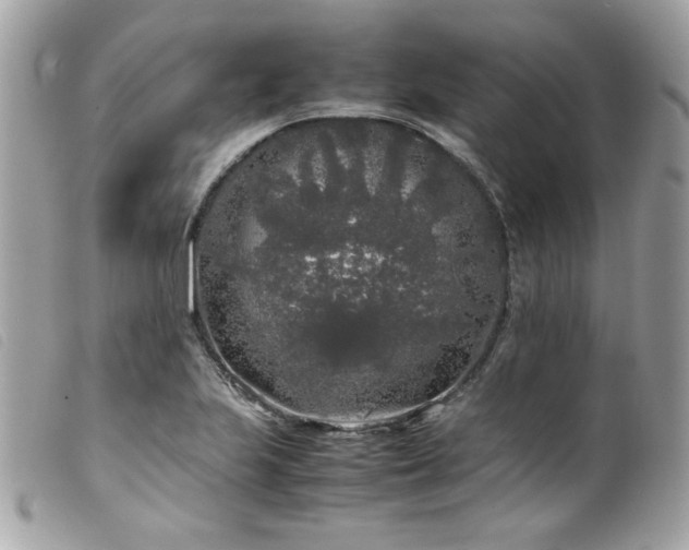 X0000100231223200805301405