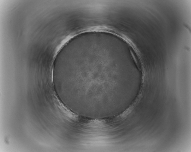 X0000100231224200805301405