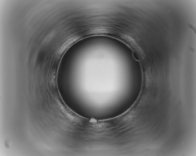 X0000100231225200805301405