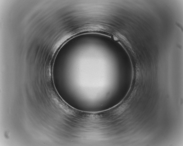 X0000100231226200805301405