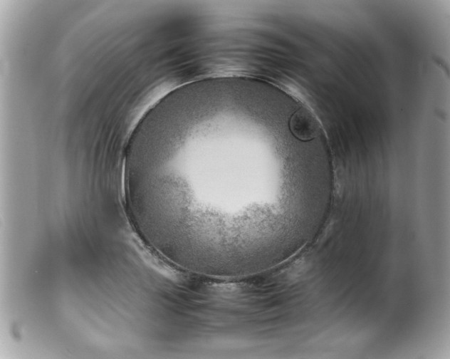 X0000100231227200805301405