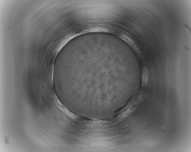 X0000100231228200805301405