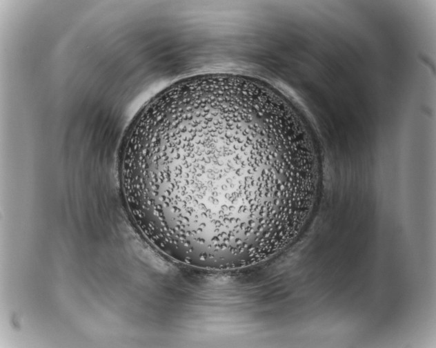 X0000100231230200805301405