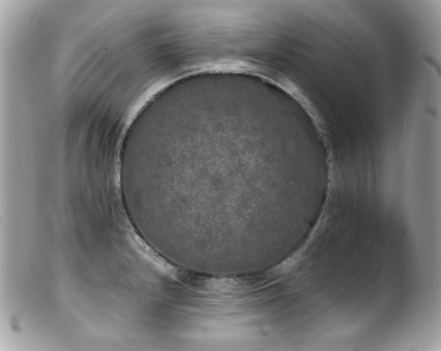 X0000100231232200805301405
