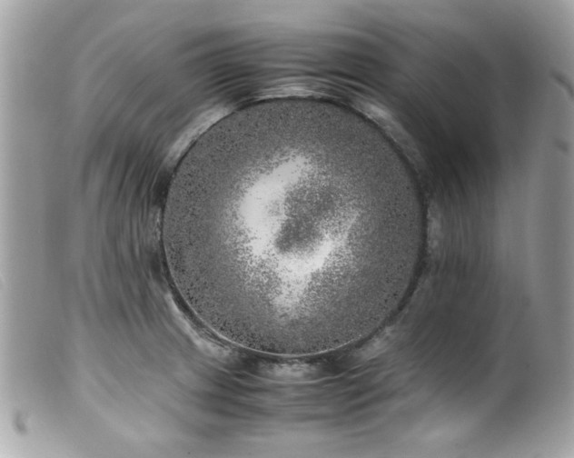 X0000100231233200805301405