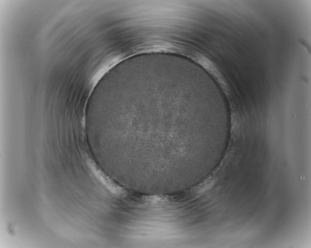 X0000100231234200805301405