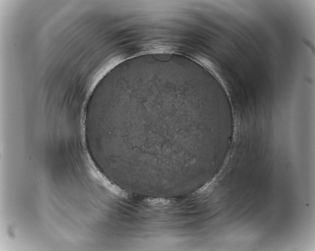X0000100231235200805301405