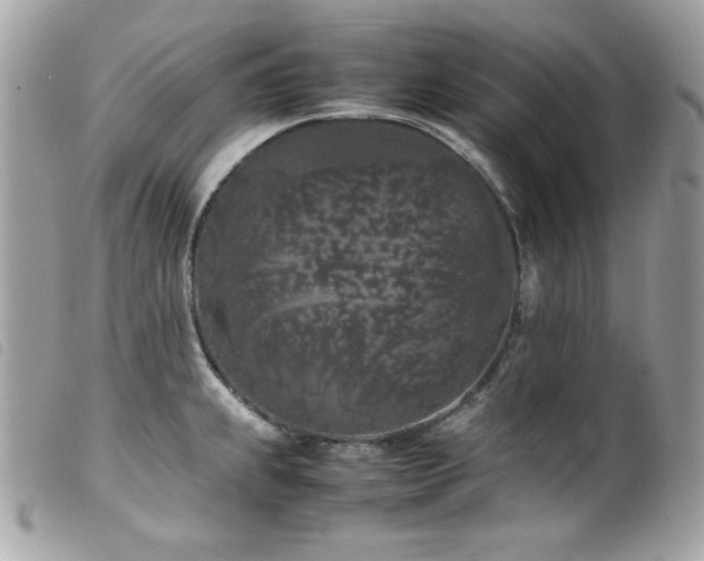 X0000100231239200805301405