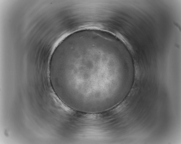 X0000100231240200805301405