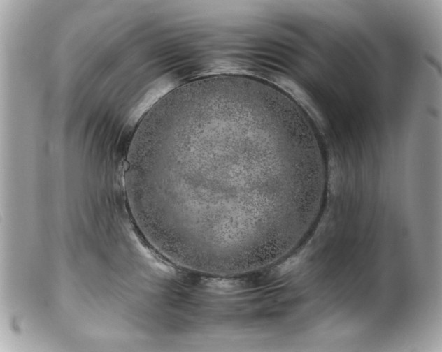 X0000100231241200805301405