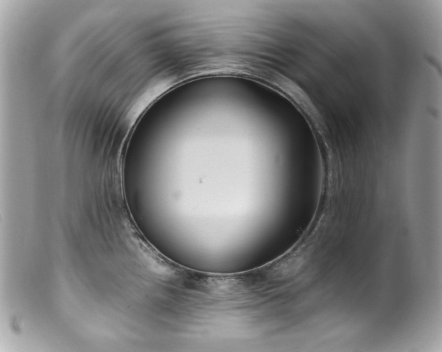 X0000100231242200805301405