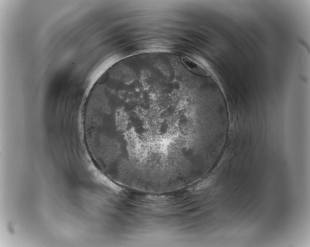 X0000100231243200805301405