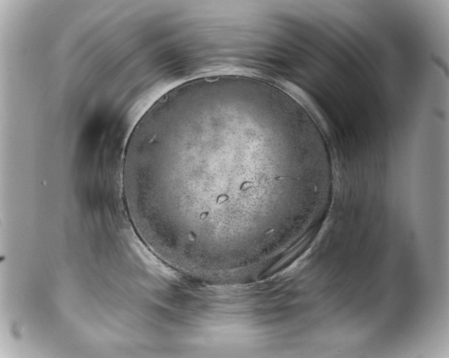 X0000100231244200805301405