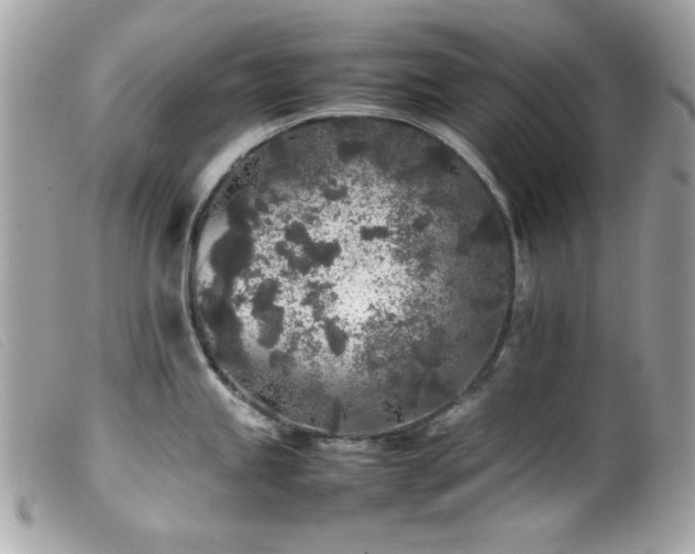 X0000100231245200805301406