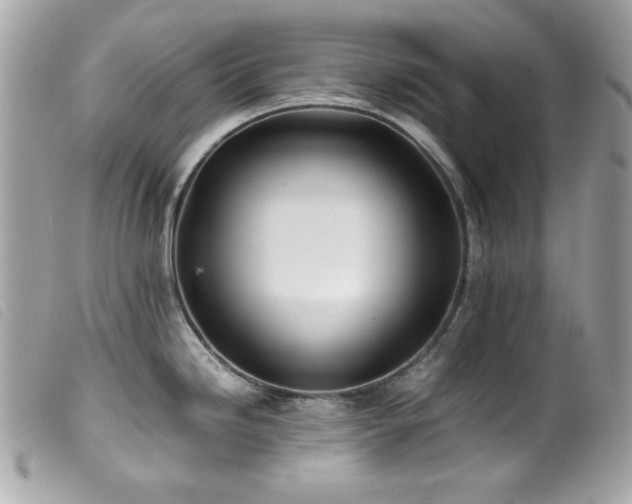 X0000100231246200805301406