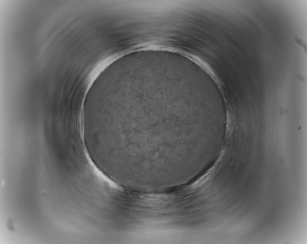 X0000100231247200805301406