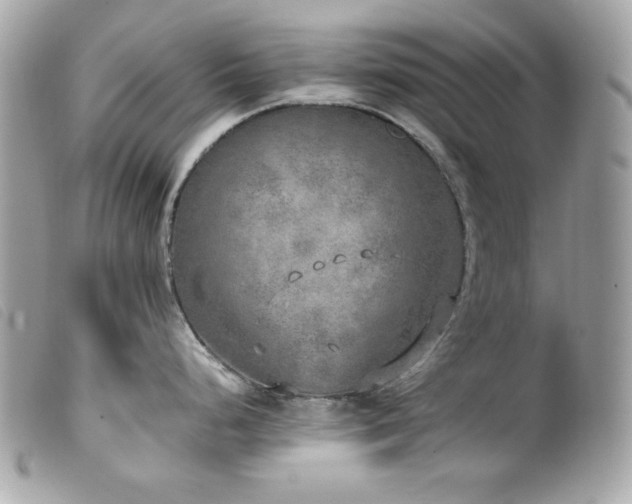 X0000100231248200805301406