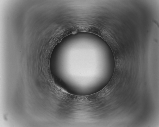 X0000100231249200805301405