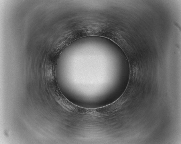X0000100231250200805301405